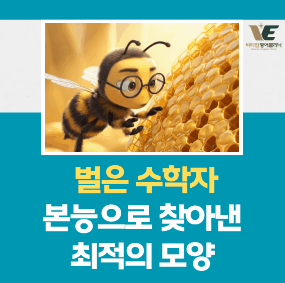 비타민영어클리닉 독해 배경지식 시리즈 - 벌집이 육각형인 이유와 수학적 원리