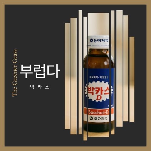 대한민국에서 OOO으로 산다는 것 - 박카스 2012 광고